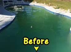 A green pool before Native Pools of Brevard serviced it